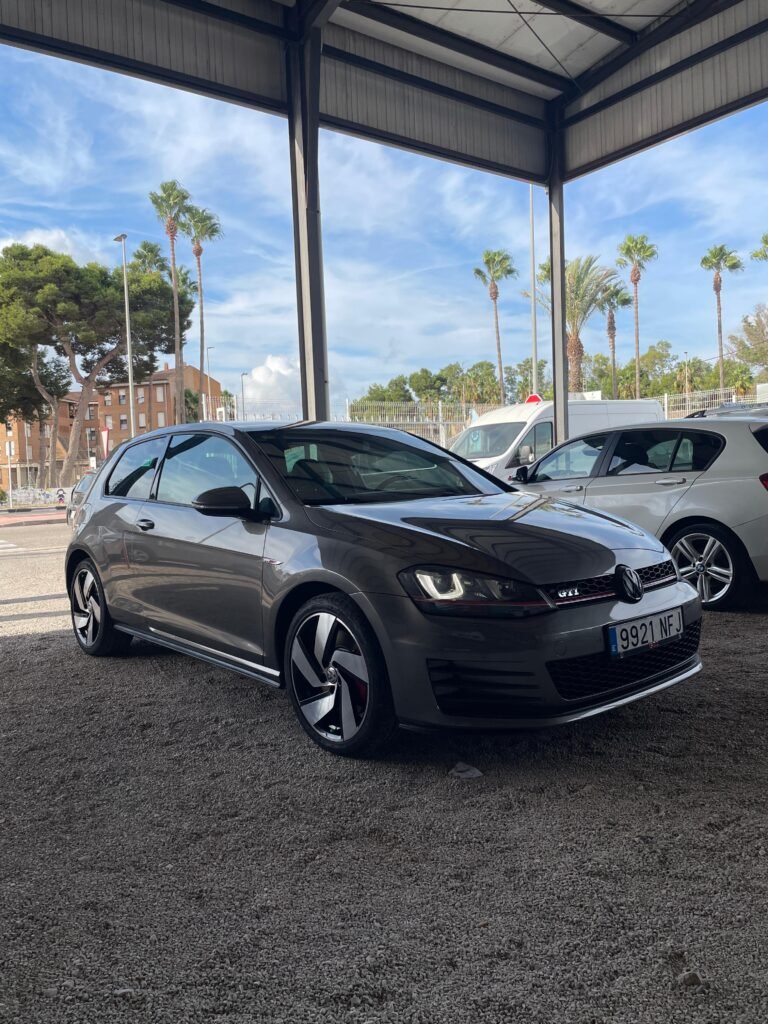 VOLKSWAGEN GOLF GTI PERFORMANCE 2013