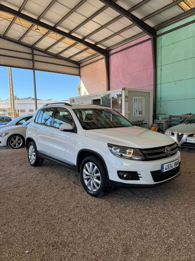 VOLKSWAGEN TIGUAN 2013