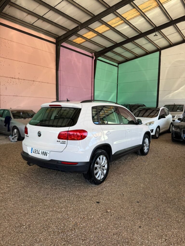VOLKSWAGEN TIGUAN 2013