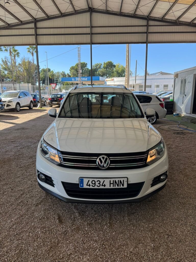 VOLKSWAGEN TIGUAN 2013